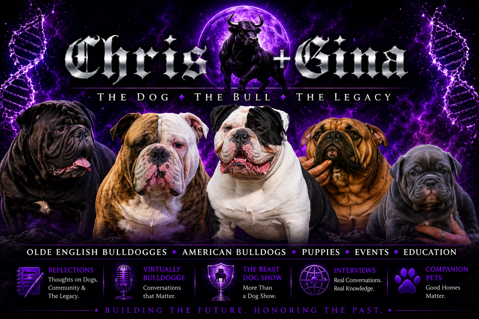 Old English Bulldogge Breeders & Puppies For Sale | Chris & Gina